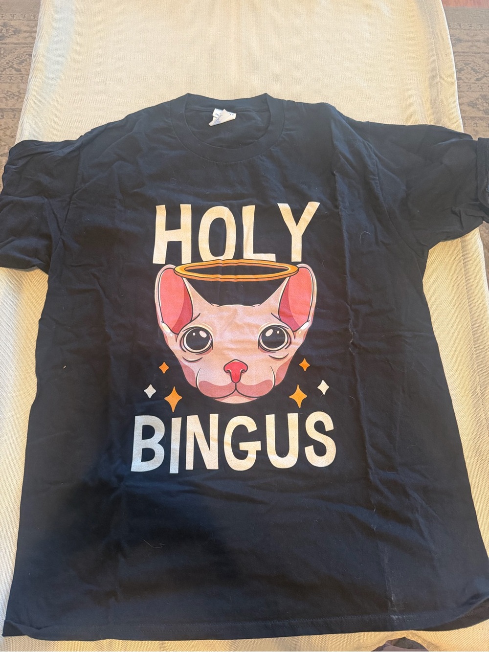 Holy Bingus Cat T-Shirt - Black